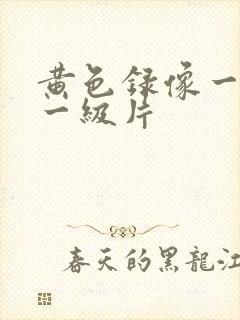 黄色录像一级片一级片