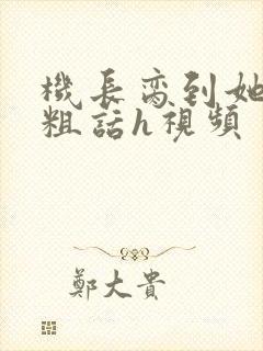 机长脔到她哭h粗话h视频