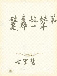 破产姐妹第一季是哪一年