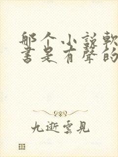 那个小说软件听书是有声的