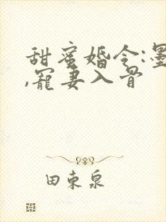 甜蜜婚令:墨少,宠妻入骨封面