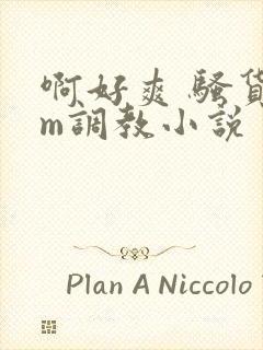 啊好爽 骚货sm调教小说