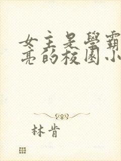 女主是学霸又漂亮的校园小说