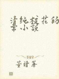 清纯校花的被日常小说