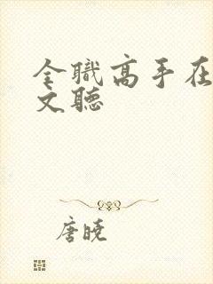 全职高手在线全文听