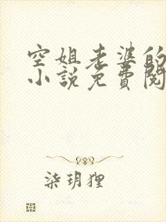 空姐老婆的秘密小说免费阅读