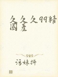 久久久99精品国产