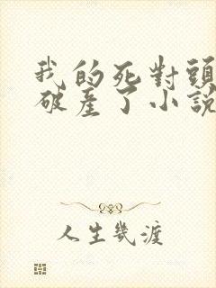 我的死对头终于破产了小说免费全文