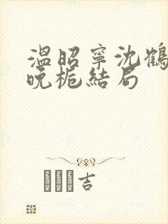 温昭宁沈鹤川宋晚栀结局