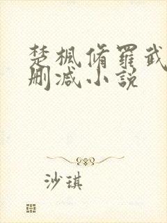 楚枫修罗武神未删减小说