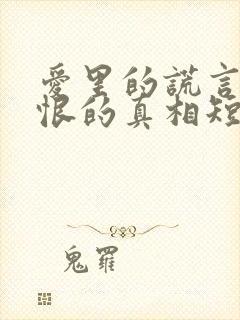 爱里的谎言,仇恨的真相短剧在线观看全集