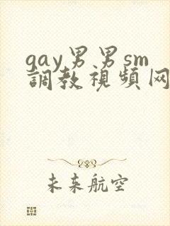 gay男男sm调教视频网站