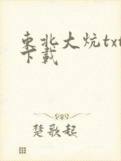 东北大炕txt下载