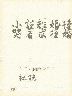 小说离婚后前夫哭着求复婚原文免费阅读