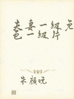 夫妻一级免费黄色一级片