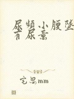 尿频小腹坠胀总有尿意