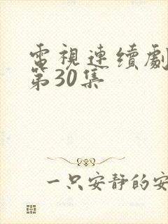 电视连续剧满秋第30集