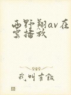 西野翔av在线云播放