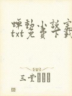 蝉动小说完整版txt免费下载