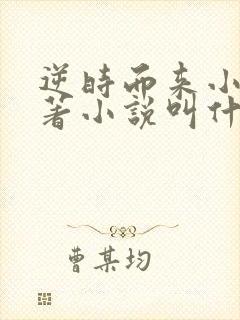 逆时而来小说原著小说叫什么名字