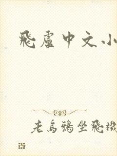 飞卢中文小说网