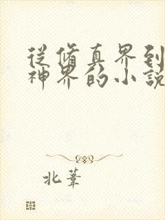 从修真界到仙界神界的小说封面