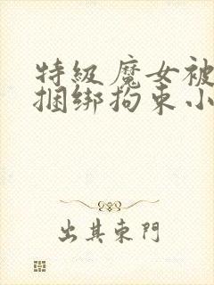 特级魔女被哄骗捆绑拘束小说