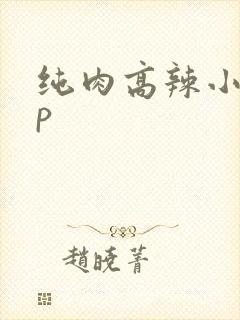 纯肉高辣小说np
