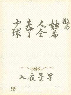 少夫人她惊艳全球了全篇