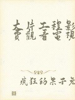 大片工程影院免费观看电视剧大全封面