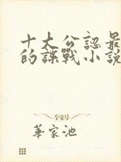 十大公认最好看的谍战小说