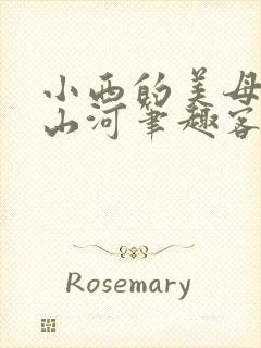 小西的美母教母山河笔趣客