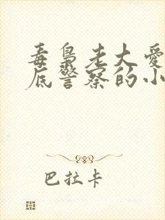 毒枭老大爱上卧底警察的小说