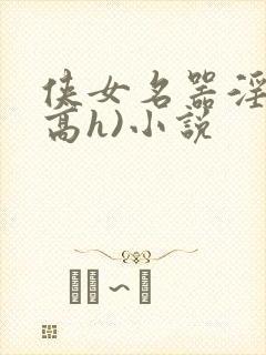 侠女名器淫史(高h)小说封面