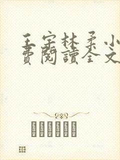 王宇林柔小说免费阅读全文最新章节