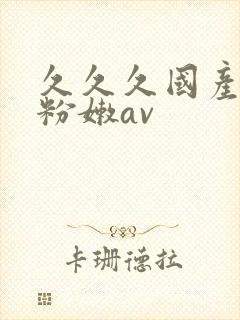 久久久国产精品粉嫩av