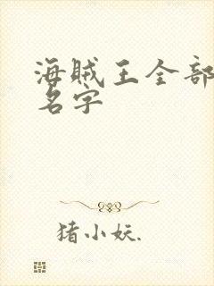 海贼王全部人物名字