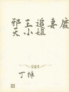 邪王追妻废材逆天小姐封面