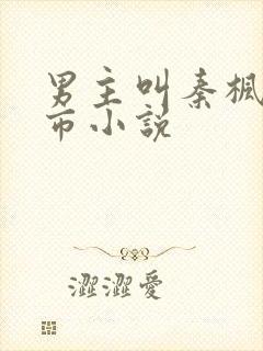 男主叫秦枫的都市小说