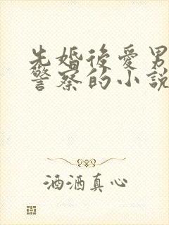 先婚后爱男主是警察的小说封面