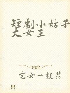 短剧小姑子要当大女主封面