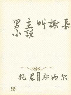 男主叫谢长晏的小说