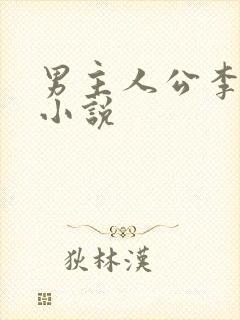 男主人公李文的小说