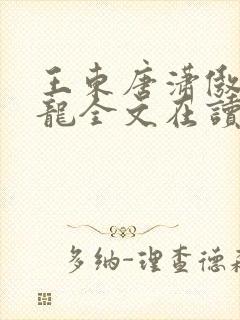 王东唐潇傲世潜龙全文在读封面