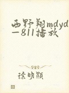 西野翔mdyd—811播放
