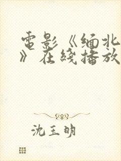 电影《缅北恶魔》在线播放免费观看