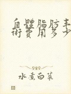 自体脂肪丰胸手术费用多少钱