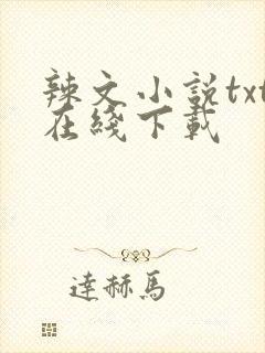 辣文小说txt在线下载