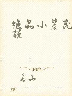 绝品小农民的小说