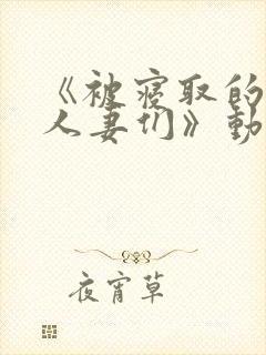 《被寝取的巨乳人妻们》动漫在线观看